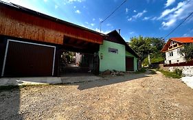 Casa Camelia