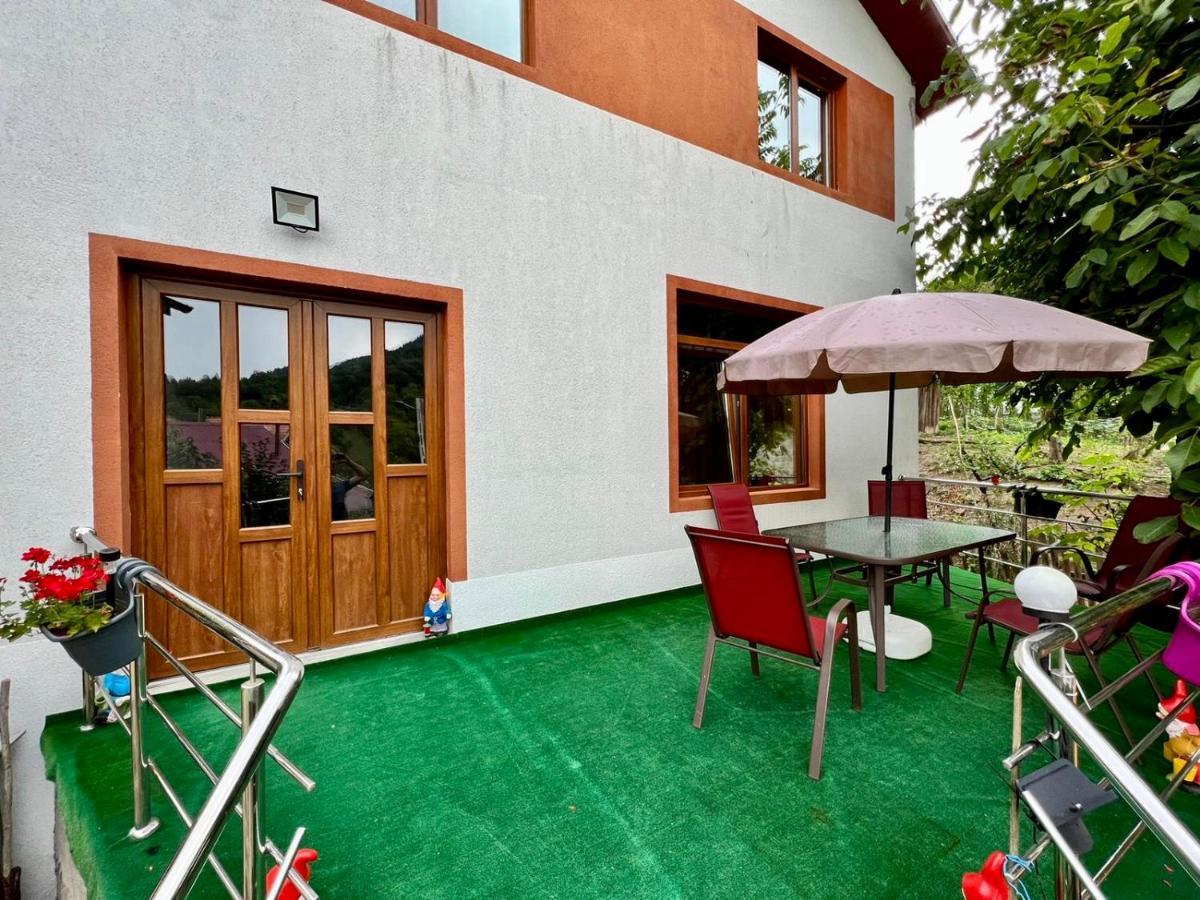 Casa Camelia Villa Nehoiu Exterior foto