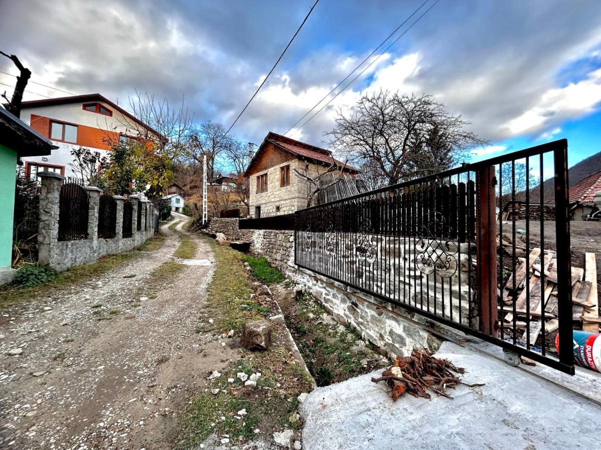 Casa Camelia Villa Nehoiu Exterior foto