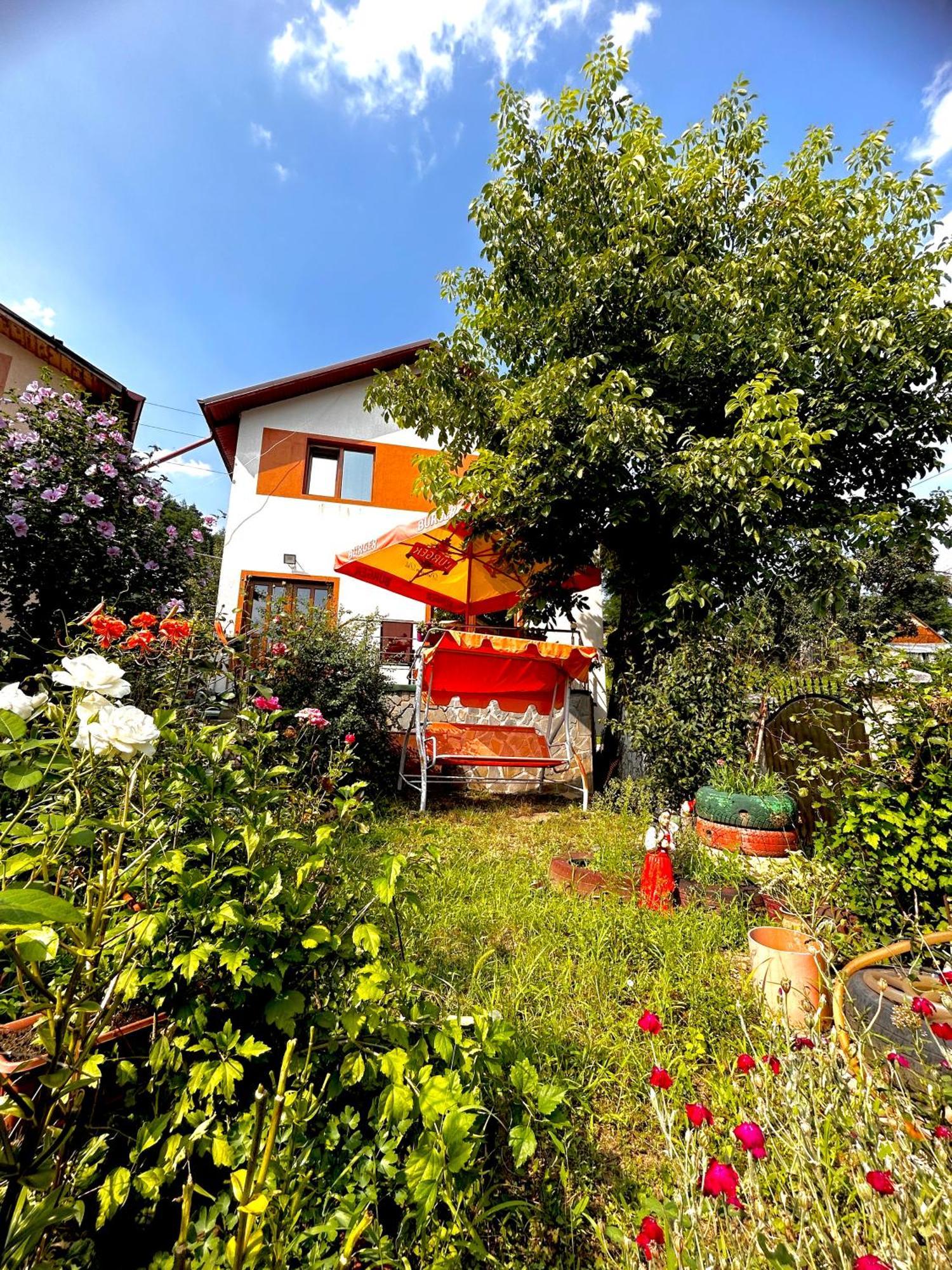 Casa Camelia Villa Nehoiu Exterior foto